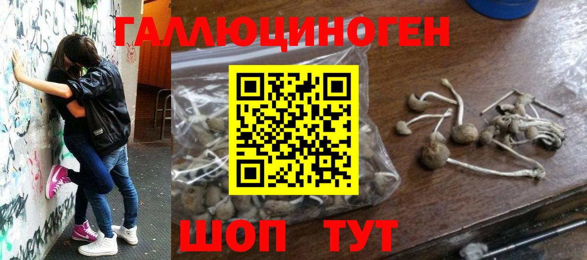 Псилоцибиновые грибы мицелий Петропавловск-Камчатский